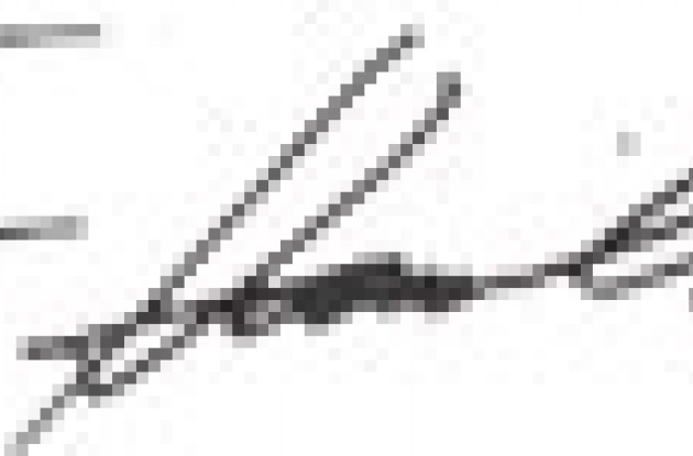 Tyler Hamilton signature