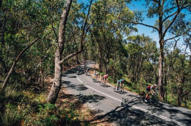 Santos Tour Down Under peloton rides through forest