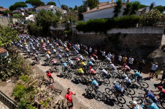 Professional cyclists climbing