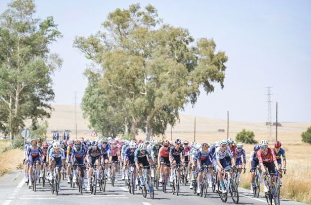 La Vuelta cyclists