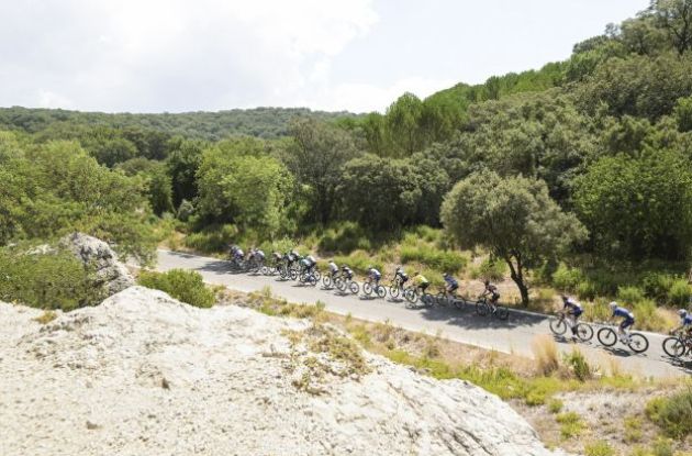 Cyclists riding by olive trees and almond trees in Spain