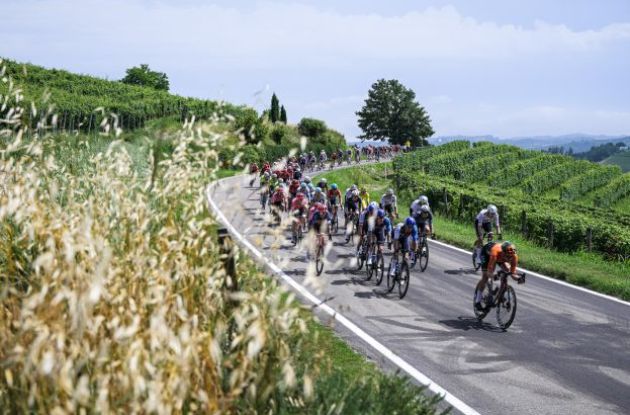 Tour de France cyclists passing barbaresco vine fields