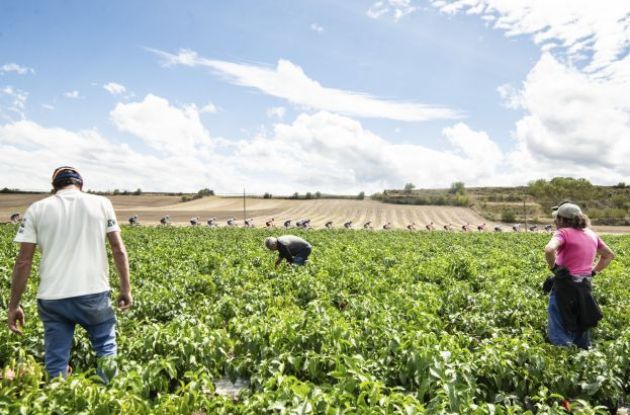 Farmers watch professional road cyclists