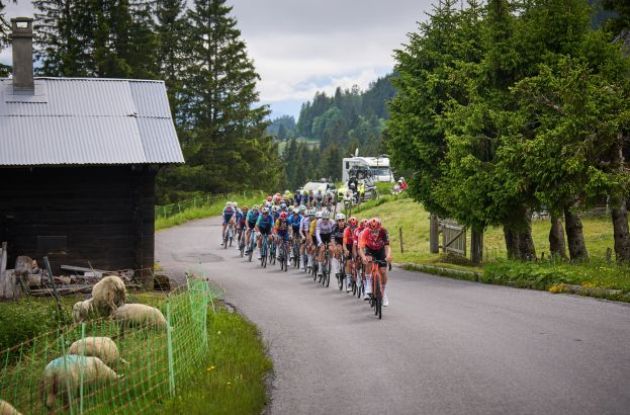 Ineos-Grenadiers riders leading the Tour de Suisse peloton