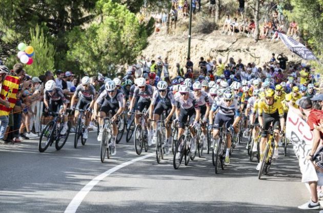 Pro cyclists climbing during stage 8 of Vuelta a Espana