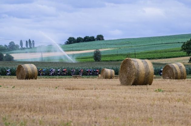 Cyclists passing by French fields