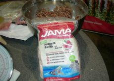 JAMA - Food of the Gods.