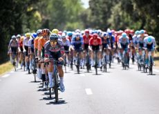 Alpecin-Deceuninck cyclists leading Tour de France peloton