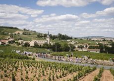 The Tour de France peloton passes through the Beaujolais wine district