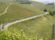 Cyclists riding past Barolo vine fields