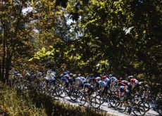 cyclists passing trees