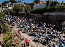 Professional cyclists climbing