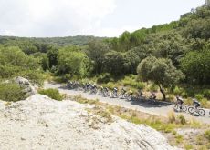 Cyclists riding by olive trees and almond trees in Spain