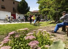 Cyclists ride by pensioner in Vuelta a Espana