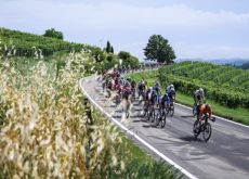 Tour de France cyclists passing barbaresco vine fields