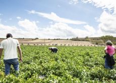 Farmers watch professional road cyclists