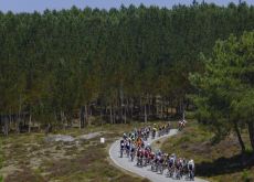 Cycling peloton riding though forest