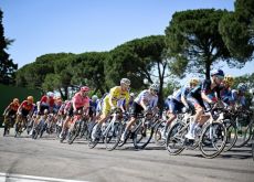 Tour de France riders passing by pine trees