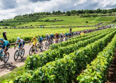 Tour de France cyclists passing French vine fields