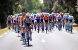 Alpecin-Deceuninck cyclists leading Tour de France peloton