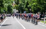 Professional cyclists in Tour de France peloton