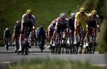 Cycling peloton in stage 15 of Tour de France